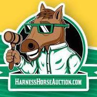  HarnessHorse  Auction