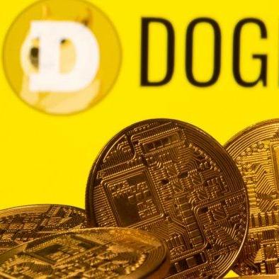 Doge Coin  Millionaire