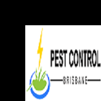 Bed Bug Control  Brisbane