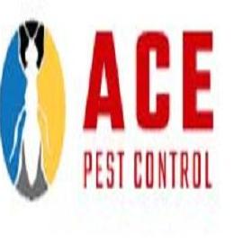 Ace Pest Control  Sydney