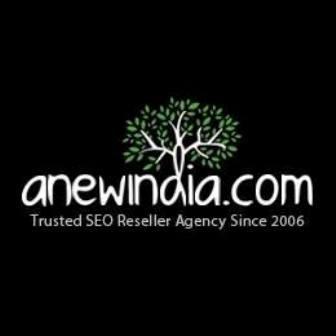 A New India SEO Reseller Agency