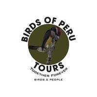 Birds Of Peru Tours