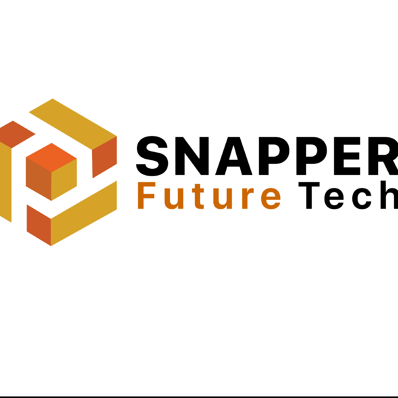  Snapper Future  Tech