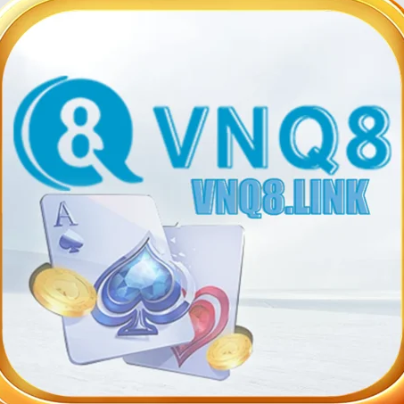 vnq8link